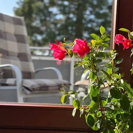 Ferienwohungen Ingrid Gevers