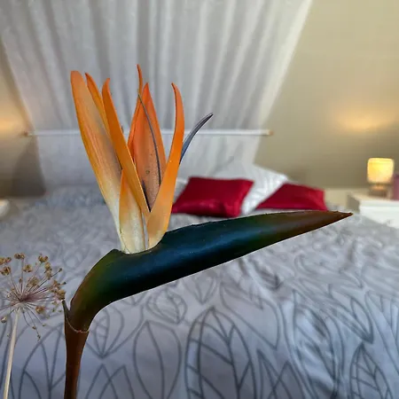 Ferienwohungen Ingrid Gevers דירה