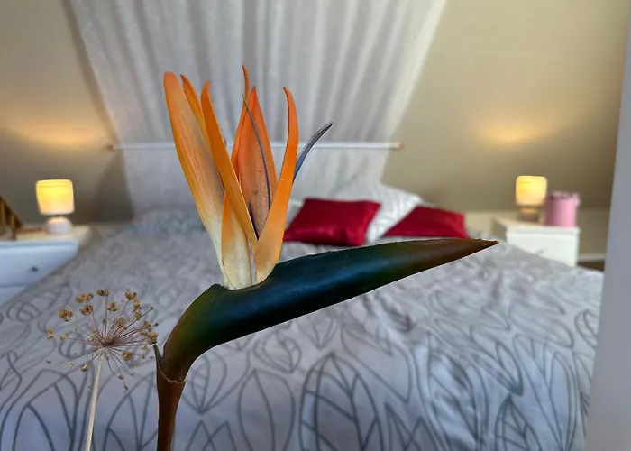 Ferienwohungen Ingrid Gevers 公寓